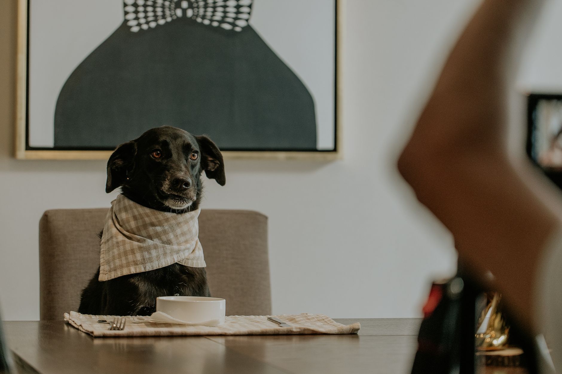 a black dog sitting by the table